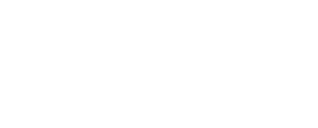 CyberPeace Institute logo white