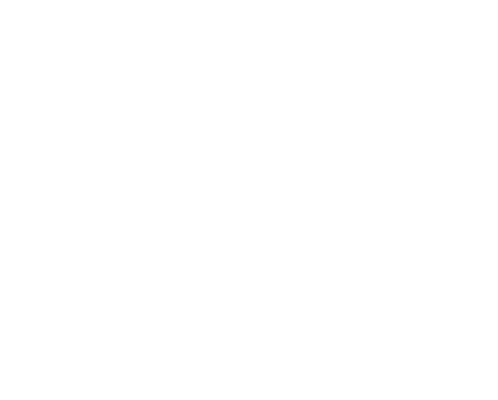 Logo for VSO