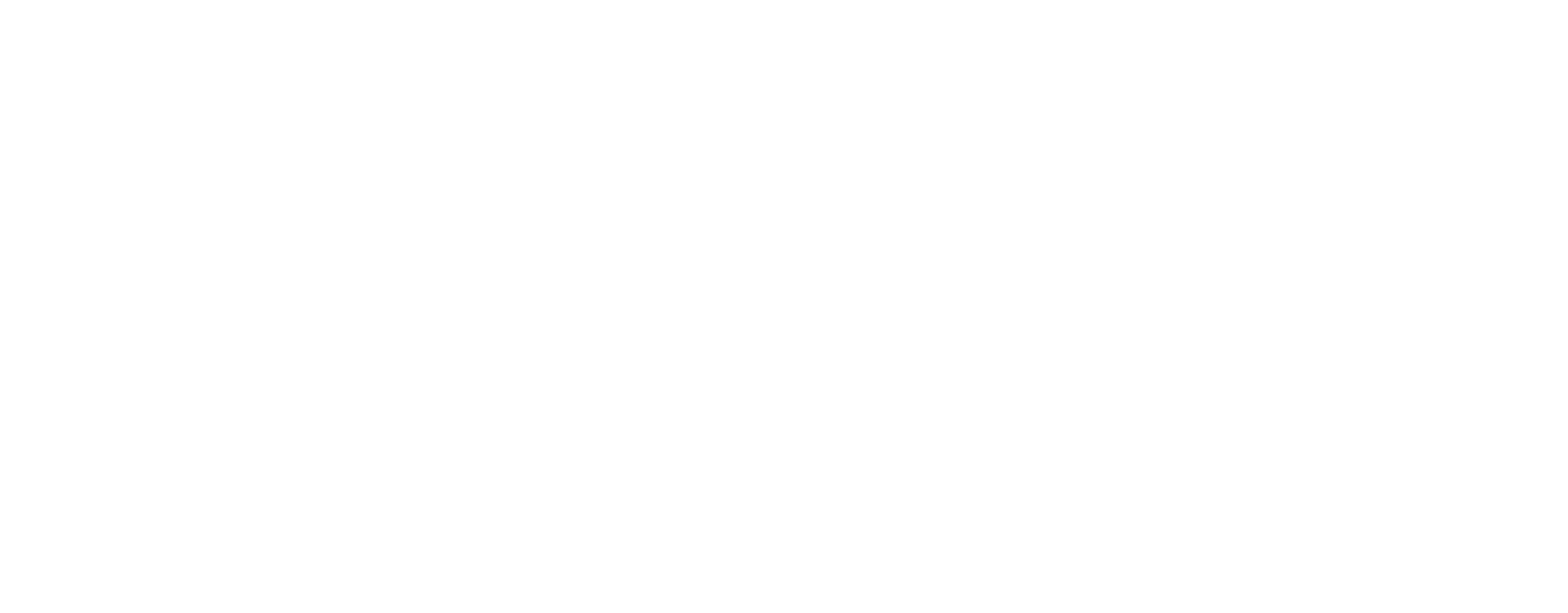 World YMCA logo white