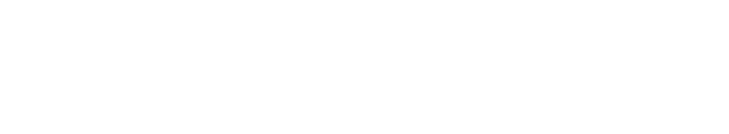 Logo for TDHIF